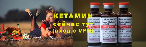сатива Абаза