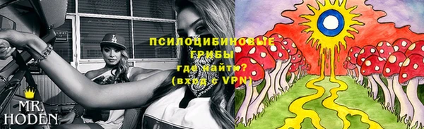 а пвп мука Алзамай