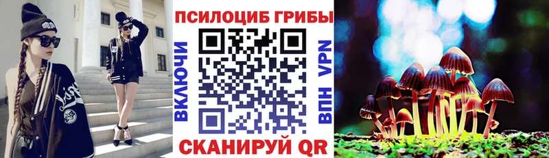 kraken зеркало  Новокубанск  Галлюциногенные грибы Psilocybine cubensis 